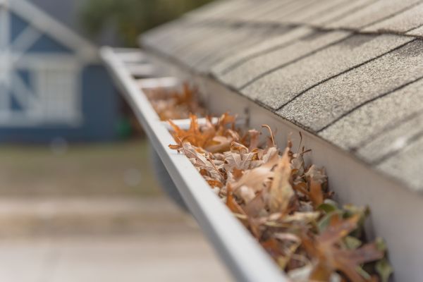 Leaf Barrier Installation in Matthews